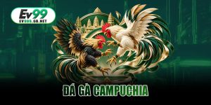 Đá Gà Campuchia