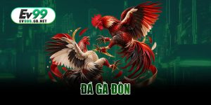 Đá Gà Đòn