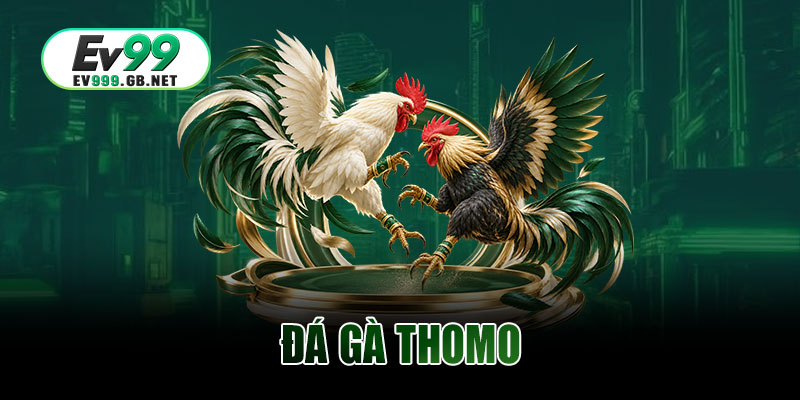 Đá Gà Thomo